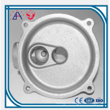 High Precision OEM Custom Zinc Die Casting (SYZ001)